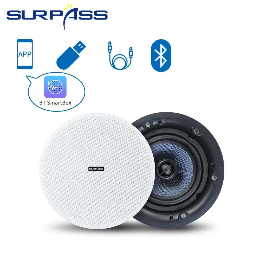 Decken-Bluetooth-Lautsprecher, – Home Cinema Bluetooth 5.1 Bewertung und Preis